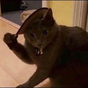 Meet your Posher, Emma